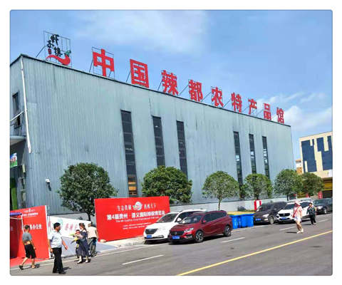 1-1ZR31046491R Z6·尊龙凯时「中国区」官方网站