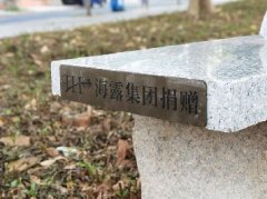 集团党支部落实大花圃经济联社“民生微项目”，提升居民人民幸福感