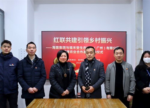 红联共建引领村落振兴，党建促业务深度融合