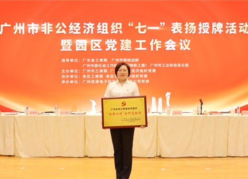 标杆引领，荣誉升级！集团党支部荣膺广州市非公有造经济组织“双强六好”标
