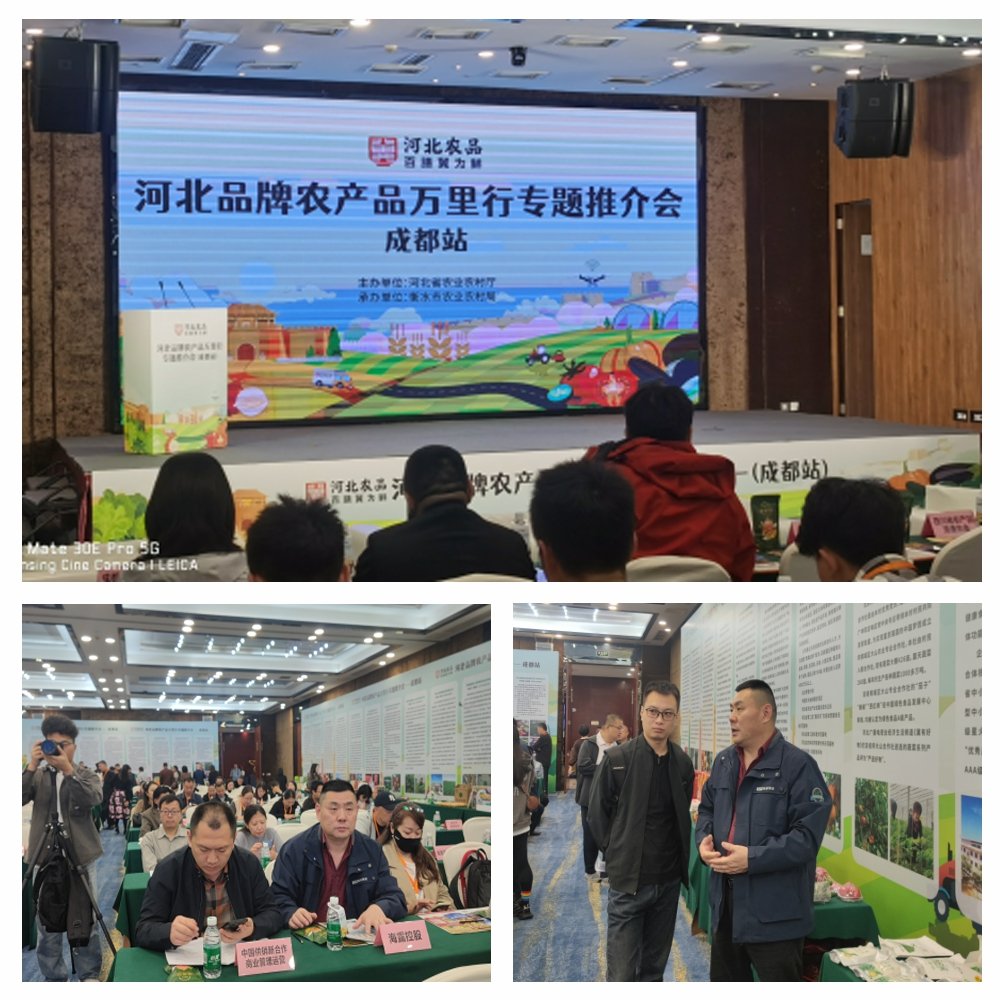 1-24102416292DM Z6·尊龙凯时「中国区」官方网站