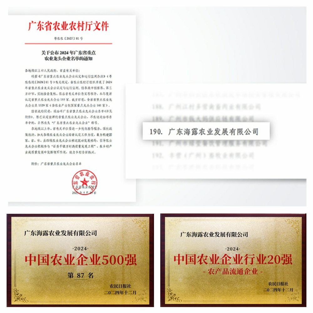 1-2506051411103H Z6·尊龙凯时「中国区」官方网站